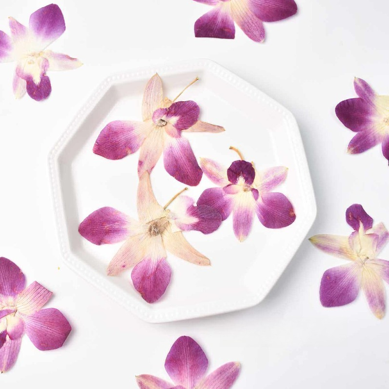 Resin Art Photo Frame - 4 шт., Настоящие прессованные цветы орхидеи-бабочки