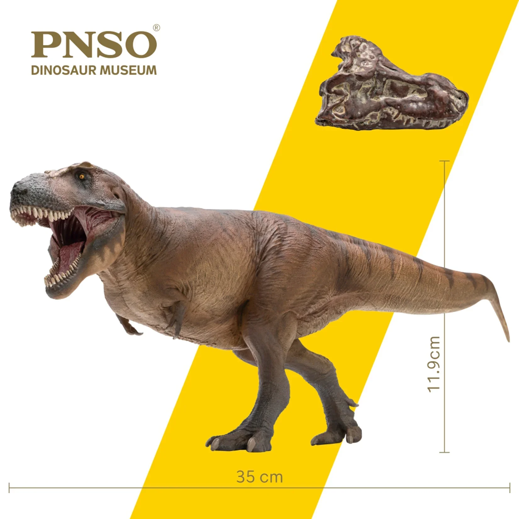 Resin Art Decoration Items - PNSO 1/35 Модель Тираннозавра Рекса Кэмерона,